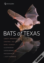 Capa do artigo Bats Of Texas