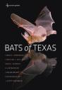 Bats Of Texas - Preview