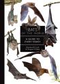 Bats Of The World - Preview