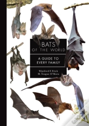 Capa do artigo Bats Of The World