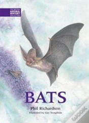 Capa do artigo Bats