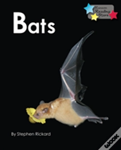 Capa do artigo Bats