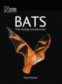 Bats - Preview