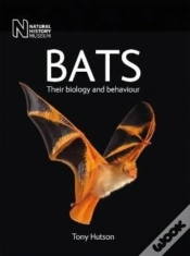 Capa do artigo Bats