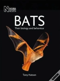 Capa do artigo Bats