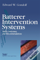 Batterer Intervention Systems
