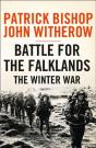 Battle For The Falklands: The Winter War - Preview