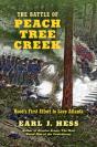 Battle Of Peach Tree Creek - Preview