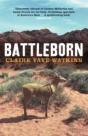 Battleborn - Preview