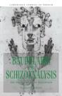 Baudelaire And Schizoanalysis - Preview