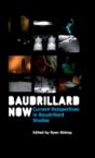 Baudrillard Now - Preview