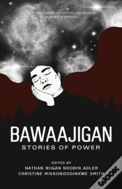Capa do artigo Bawaajigan