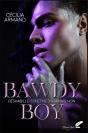 Bawdy Boy - Preview