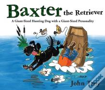 Baxter The Retriever