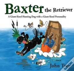 Capa do artigo Baxter The Retriever