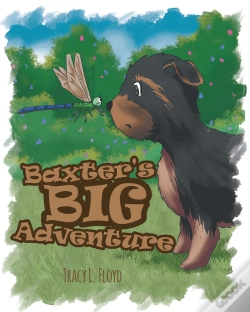 Capa do artigo Baxter'S Big Adventure