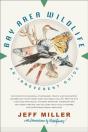 Bay Area Wildlife - Preview