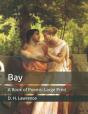 Bay - Preview