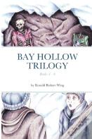 Bay Hollow Trilogy - Set 2