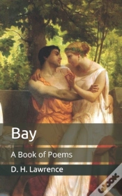 Capa do artigo Bay