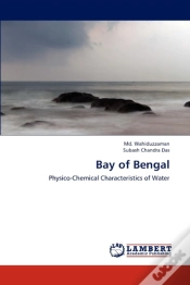 Capa do artigo Bay Of Bengal