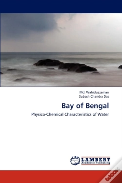 Capa do artigo Bay Of Bengal