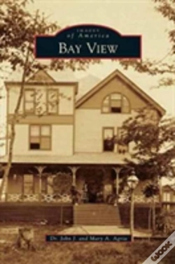 Capa do artigo Bay View
