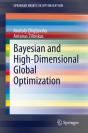 Bayesian And High-Dimensional Global Optimization - Preview