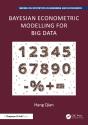 Bayesian Econometric Modelling For Big Data - Preview