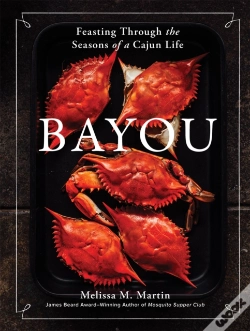 Capa do artigo Bayou