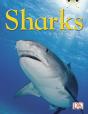 Bc Nf Blue (Ks2) B/4a Sharks - Preview