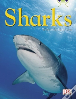 Capa do artigo Bc Nf Blue (Ks2) B/4a Sharks