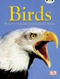 Bc Nf Grey B/4c Birds - Preview