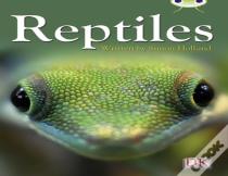 Bc Nf Red (Ks2) B/5b Reptiles