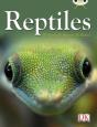 Bc Nf Red (Ks2) B/5b Reptiles - Preview