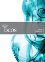 Bcos Cognitive Screen - Preview