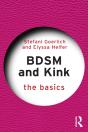 Bdsm And Kink - Preview