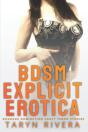 Bdsm Explicit Erotica - Preview