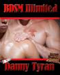Bdsm Illimited - Preview