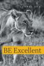 Be Excellent - Preview
