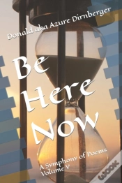 Capa do artigo Be Here Now