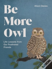 Capa do artigo Be More Owl