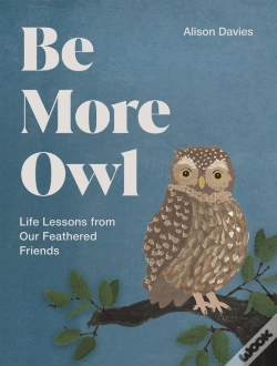 Capa do artigo Be More Owl
