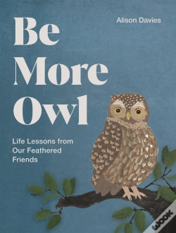 Capa do artigo Be More Owl