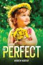 Be Perfect - Preview