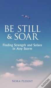 Capa do artigo Be Still & Soar