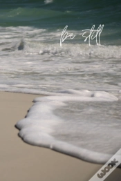 Capa do artigo Be Still