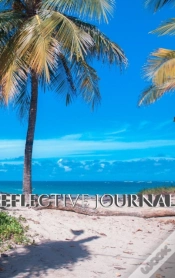 Capa do artigo Beach Reflective  Blank Creative Journal