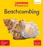 Beachcombing (Set 13) - Preview