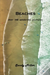 Capa do artigo Beaches